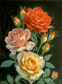 Розы