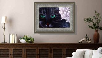 КОТ