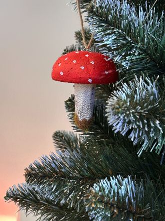 amanita