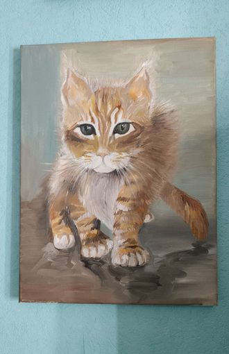Котенок