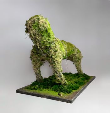 creature 1