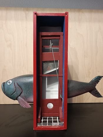 Fish day. Heads and tails.