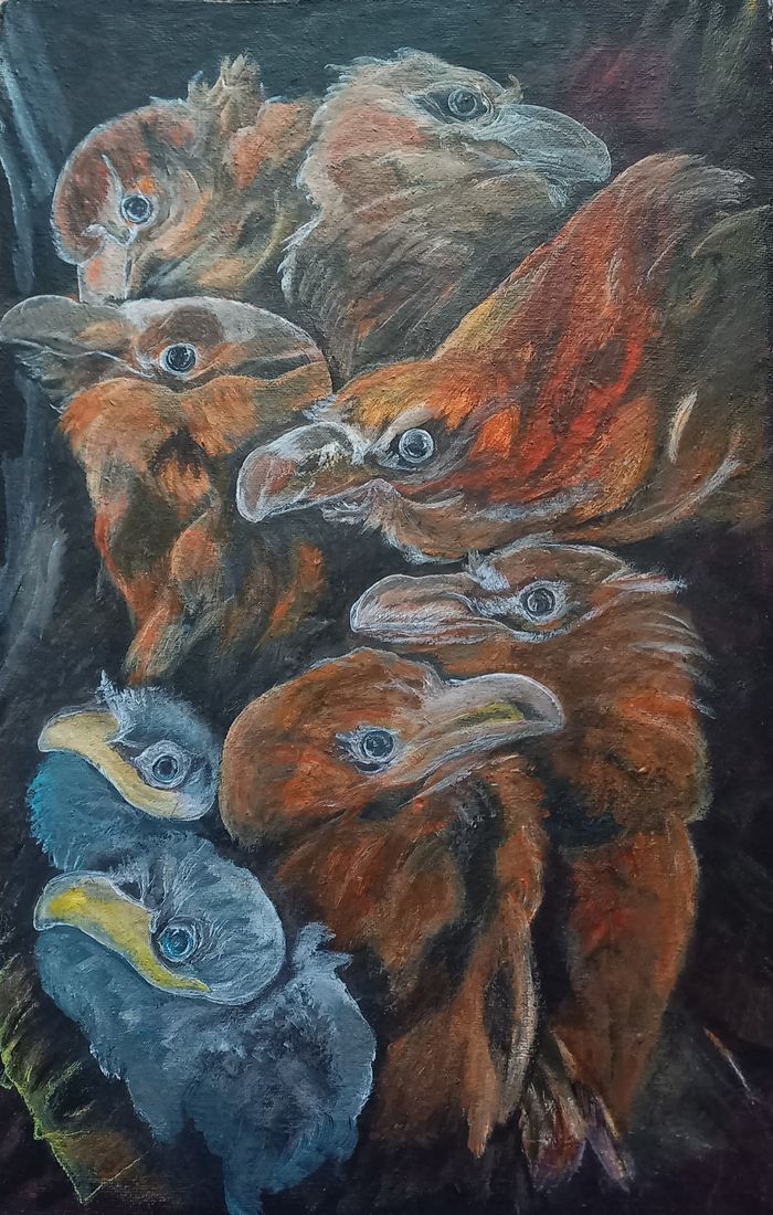 Еще одно вороново семейство