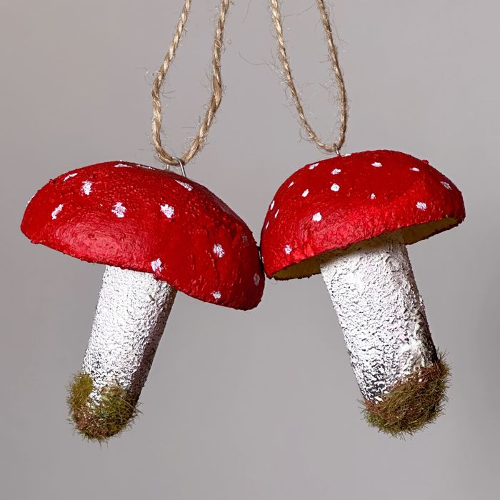 amanita
