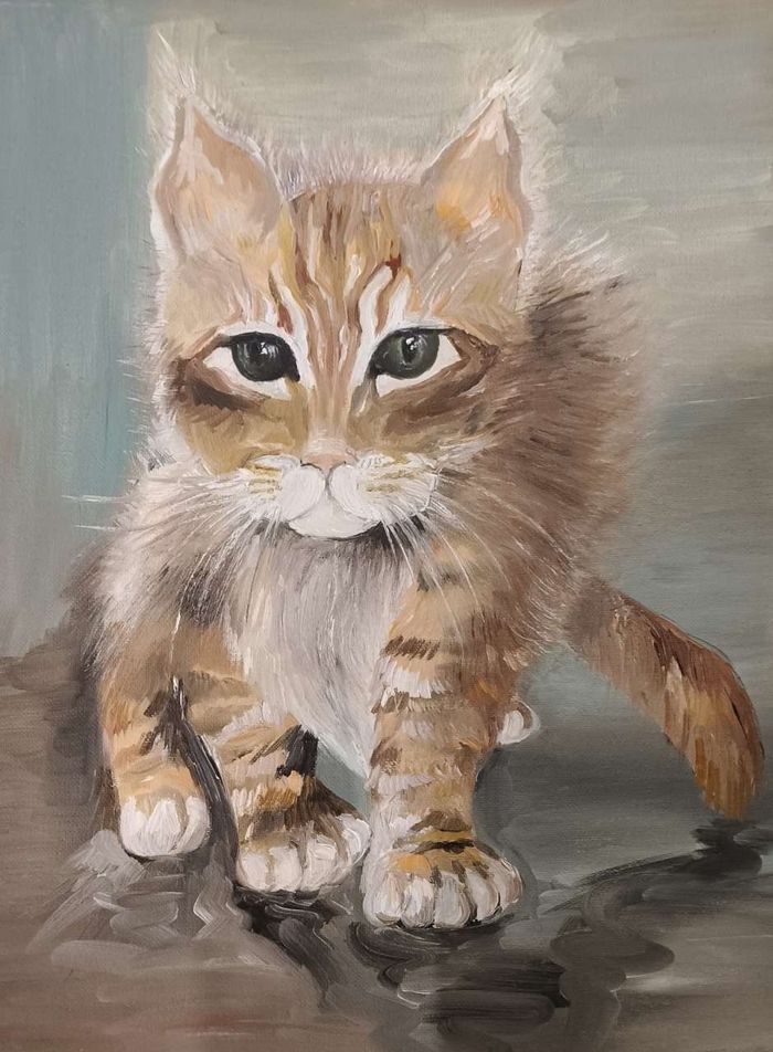 Котенок