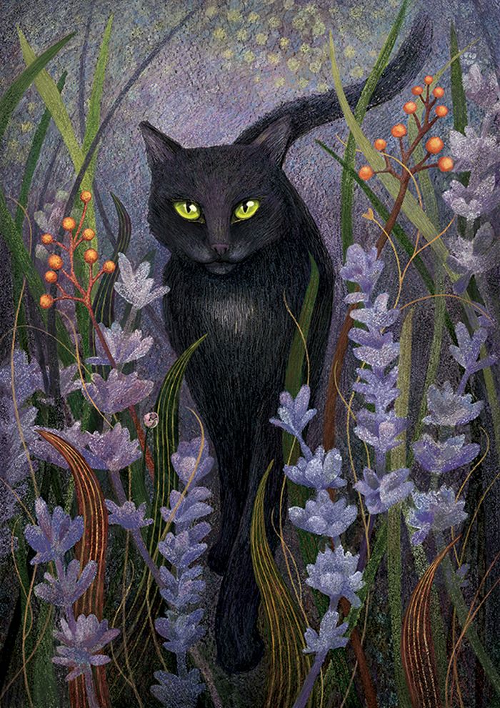 Кошка Софа и ее тайна.
